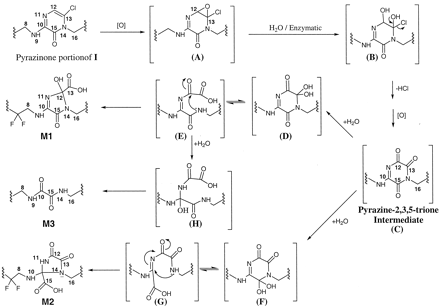 Fig. 11.