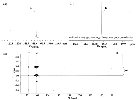 Fig. 9.