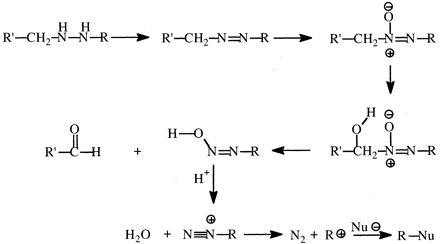 Fig. 10.