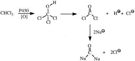 Fig. 11.