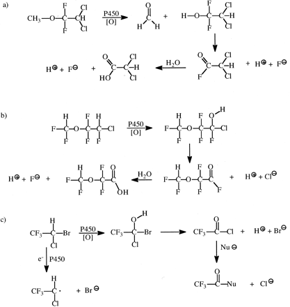 Fig. 12.