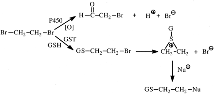 Fig. 13.