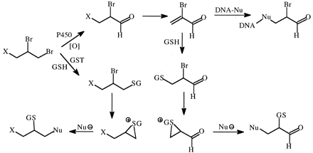 Fig. 14.