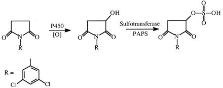 Fig. 18.