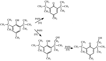 Fig. 20.