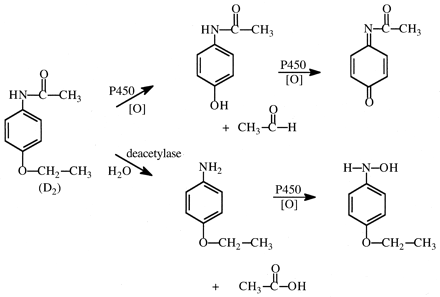 Fig. 21.