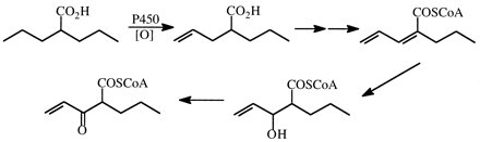 Fig. 22.