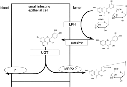 Fig. 5.