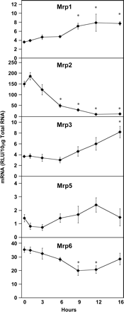 Fig. 5.