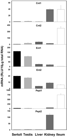 Fig. 8.