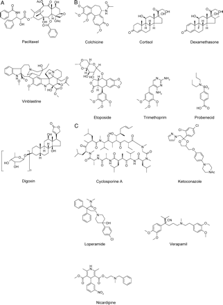 Fig. 1.