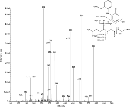 Fig. 2.