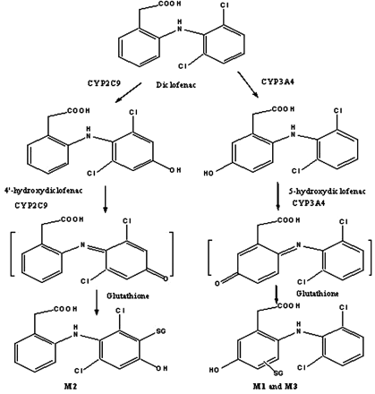 Scheme 1.