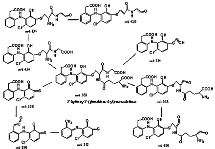 Scheme 2.