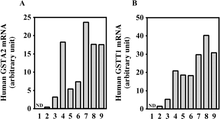 Fig. 11.