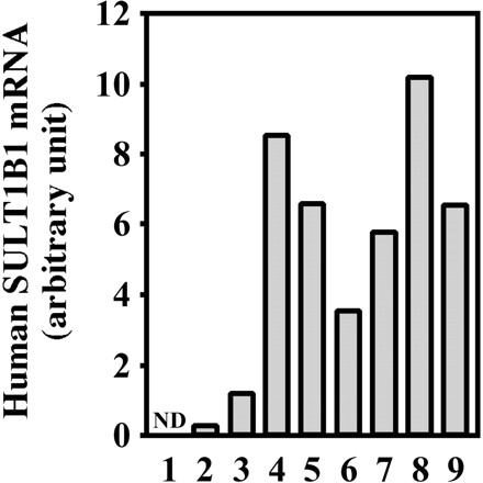 Fig. 6.