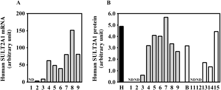 Fig. 8.