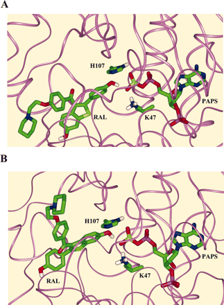 Fig. 5.