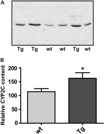 Fig. 6.