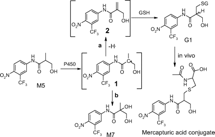 Scheme 2.