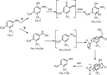 Scheme 3.