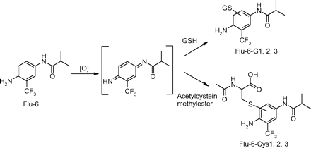 Scheme 4.