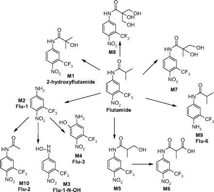 Scheme 1.