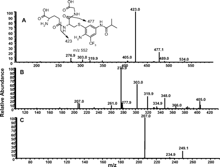 Fig. 8.