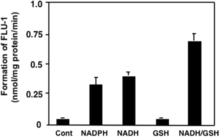 Fig. 10.