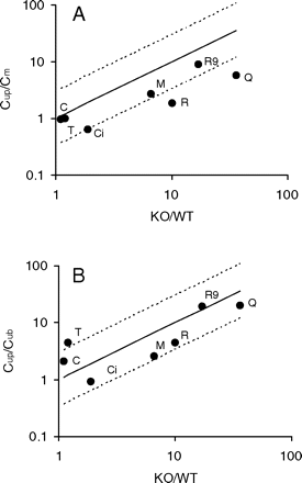 Fig. 3.