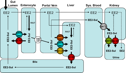 Fig. 6.