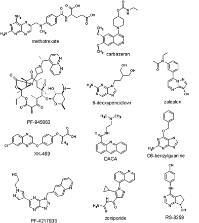 Fig. 1.