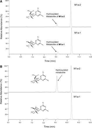 Fig. 6.