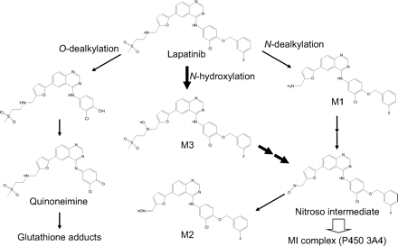 Fig. 8.