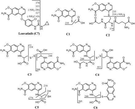 Fig. 5.