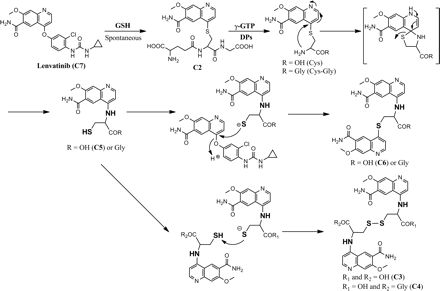 Fig. 8.