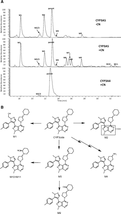 Fig. 4.