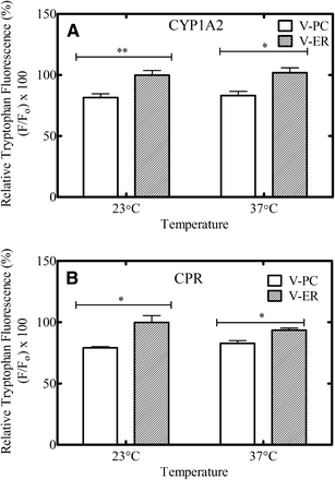 Fig. 10.