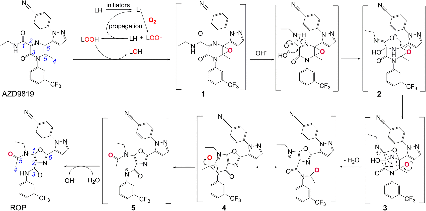 Scheme 1.