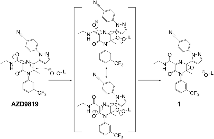 Scheme 2.