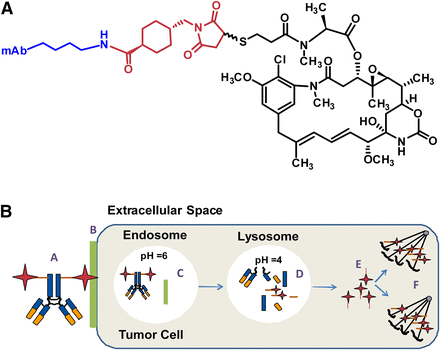 Fig. 1.