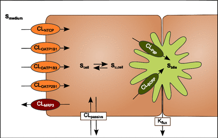 Fig. 1.