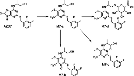 Fig. 10.