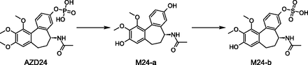 Fig. 7.