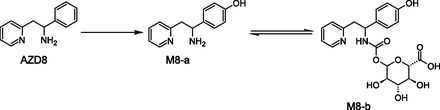 Fig. 8.