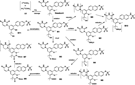 Fig. 6.