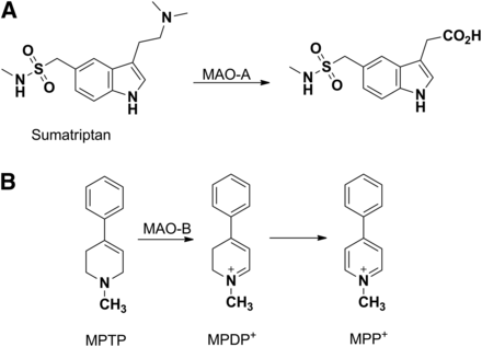 Fig. 10.