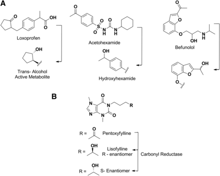 Fig. 12.