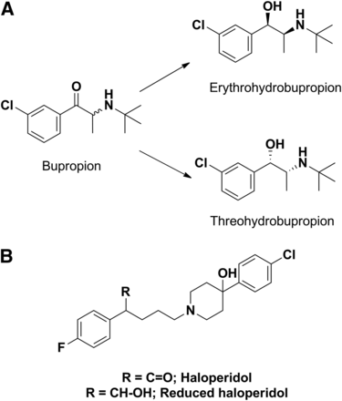 Fig. 13.