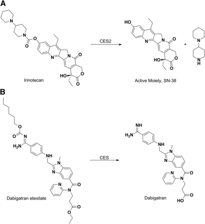 Fig. 8.